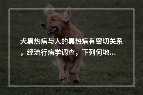 犬黑热病与人的黑热病有密切关系，经流行病学调查，下列何地的犬