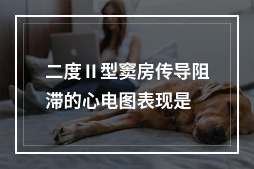 二度Ⅱ型窦房传导阻滞的心电图表现是