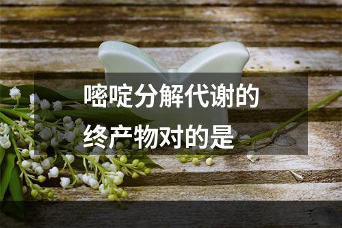 嘧啶分解代谢的终产物对的是