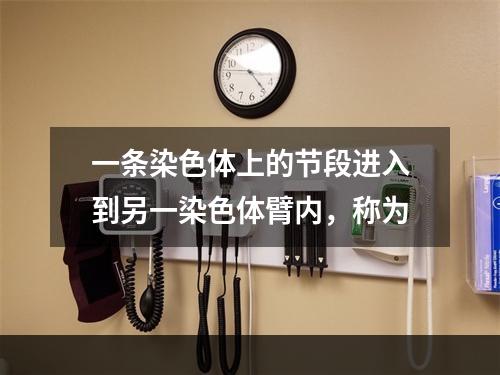 一条染色体上的节段进入到另一染色体臂内，称为