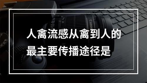 人禽流感从禽到人的最主要传播途径是