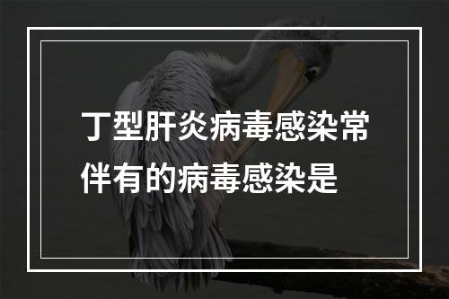 丁型肝炎病毒感染常伴有的病毒感染是