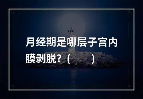 月经期是哪层子宫内膜剥脱？(　　)