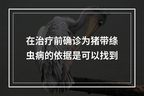 在治疗前确诊为猪带绦虫病的依据是可以找到