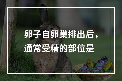 卵子自卵巢排出后，通常受精的部位是