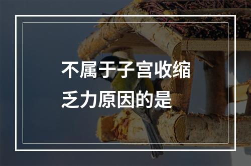 不属于子宫收缩乏力原因的是