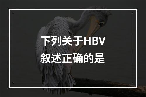 下列关于HBV叙述正确的是