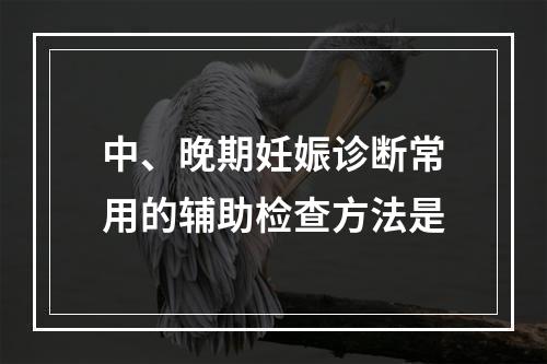 中、晚期妊娠诊断常用的辅助检查方法是