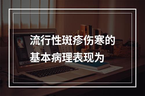 流行性斑疹伤寒的基本病理表现为