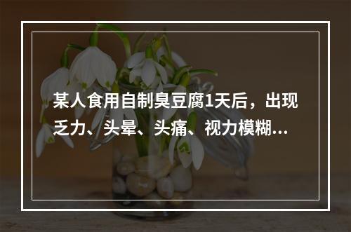 某人食用自制臭豆腐1天后，出现乏力、头晕、头痛、视力模糊、眼