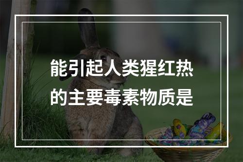 能引起人类猩红热的主要毒素物质是