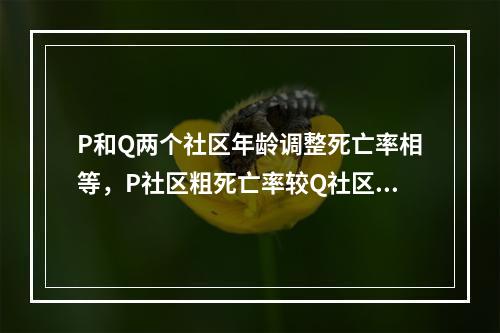 P和Q两个社区年龄调整死亡率相等，P社区粗死亡率较Q社区低，