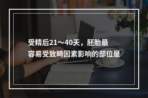 受精后21～40天，胚胎最容易受致畸因素影响的部位是