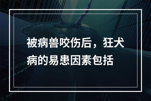 被病兽咬伤后，狂犬病的易患因素包括