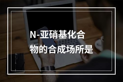 N-亚硝基化合物的合成场所是