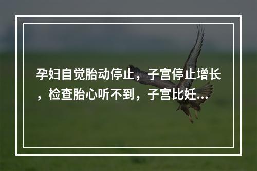 孕妇自觉胎动停止，子宫停止增长，检查胎心听不到，子宫比妊娠周