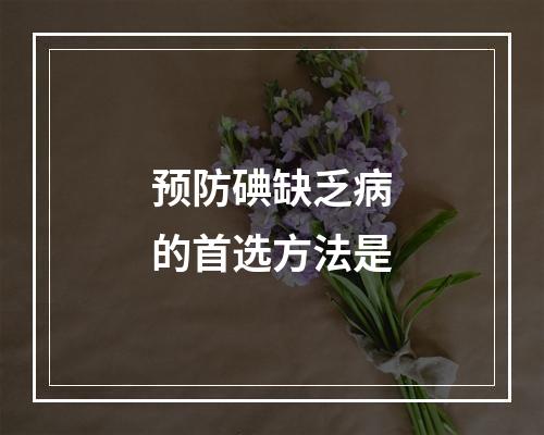 预防碘缺乏病的首选方法是