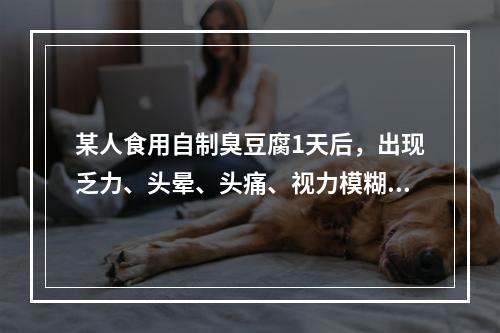 某人食用自制臭豆腐1天后，出现乏力、头晕、头痛、视力模糊、眼