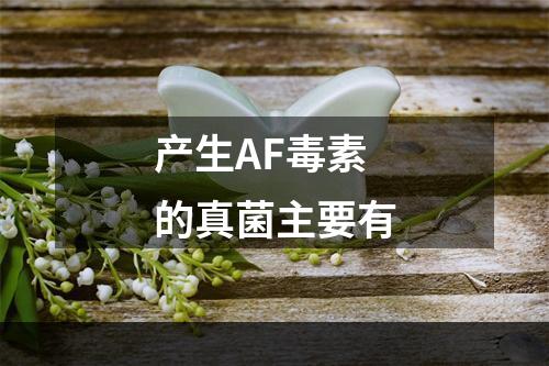 产生AF毒素的真菌主要有