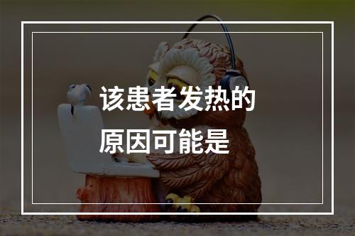 该患者发热的原因可能是