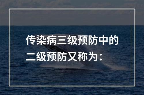 传染病三级预防中的二级预防又称为：