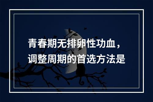 青春期无排卵性功血，调整周期的首选方法是