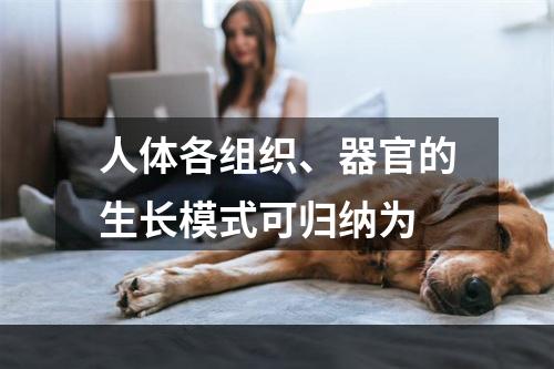 人体各组织、器官的生长模式可归纳为