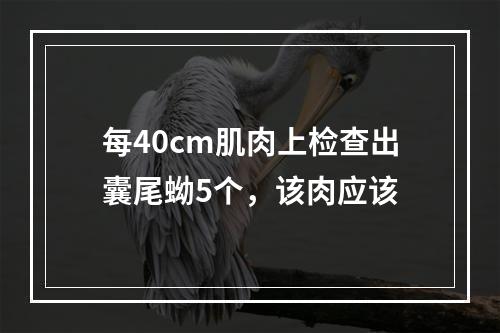 每40cm肌肉上检查出囊尾蚴5个，该肉应该