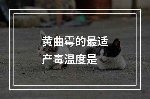 黄曲霉的最适产毒温度是