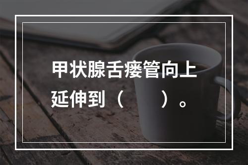 甲状腺舌瘘管向上延伸到（　　）。