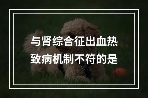 与肾综合征出血热致病机制不符的是