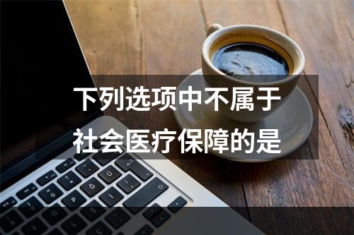 下列选项中不属于社会医疗保障的是