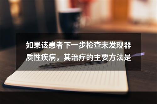 如果该患者下一步检查未发现器质性疾病，其治疗的主要方法是