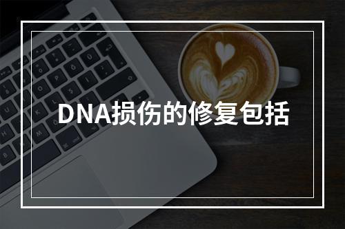 DNA损伤的修复包括