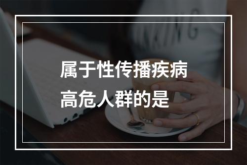 属于性传播疾病高危人群的是