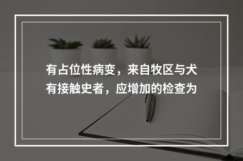 有占位性病变，来自牧区与犬有接触史者，应增加的检查为