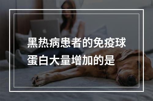 黑热病患者的免疫球蛋白大量增加的是