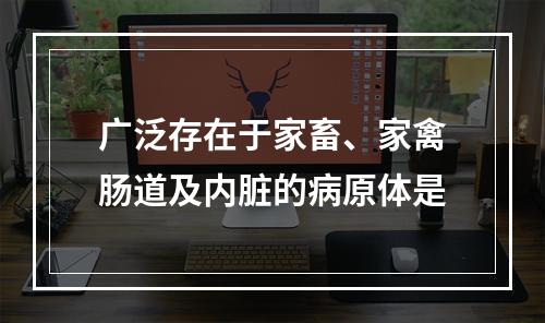 广泛存在于家畜、家禽肠道及内脏的病原体是