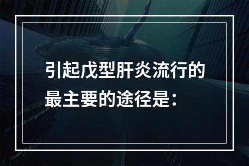 引起戊型肝炎流行的最主要的途径是：