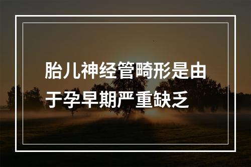 胎儿神经管畸形是由于孕早期严重缺乏