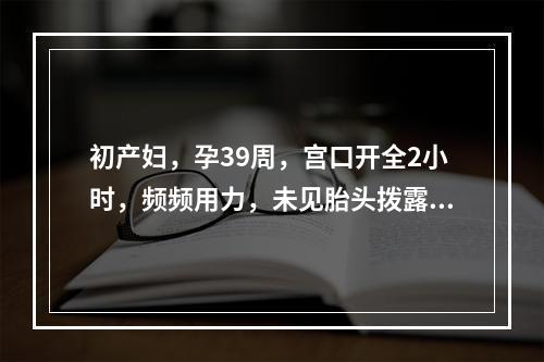 初产妇，孕39周，宫口开全2小时，频频用力，未见胎头拨露。检