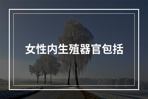 女性内生殖器官包括