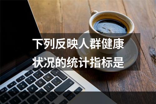 下列反映人群健康状况的统计指标是