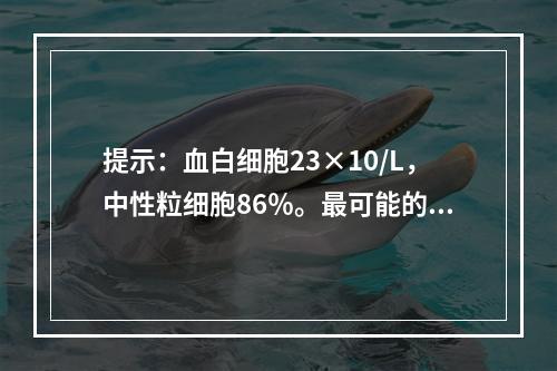 提示：血白细胞23×10/L，中性粒细胞86％。最可能的诊断