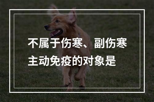 不属于伤寒、副伤寒主动免疫的对象是