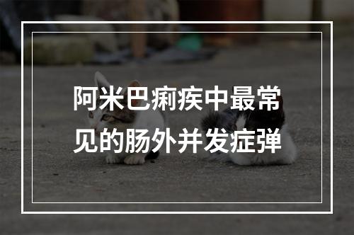 阿米巴痢疾中最常见的肠外并发症弹