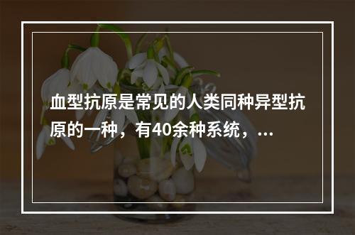 血型抗原是常见的人类同种异型抗原的一种，有40余种系统，常见