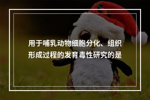 用于哺乳动物细胞分化、组织形成过程的发育毒性研究的是