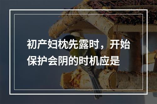 初产妇枕先露时，开始保护会阴的时机应是