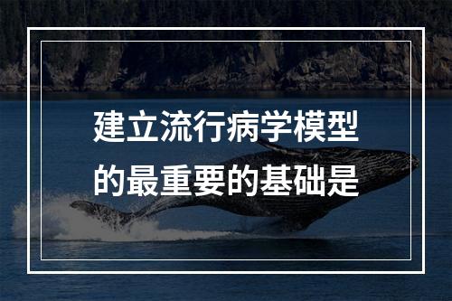 建立流行病学模型的最重要的基础是